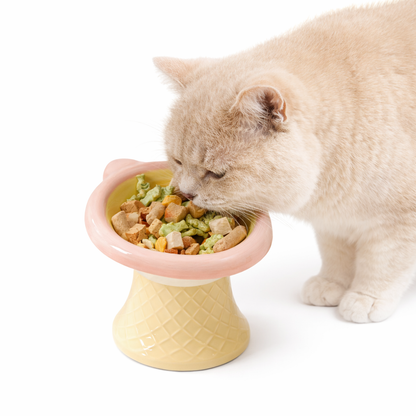 Elevated Ceramic Cat Bowl - Ice Cream Shape