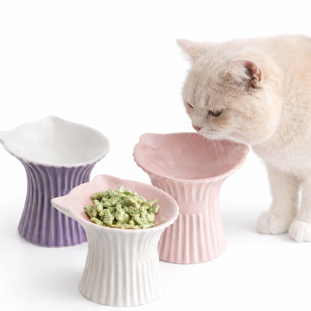 Elevated Handmade Ceramic Cat Bowl