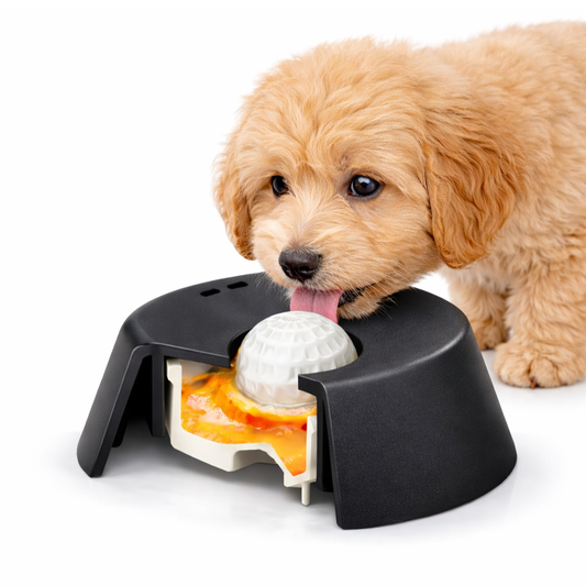 Liquid Slow Feeder Dog Bowl